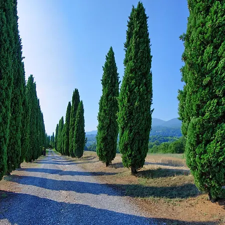 Casale Giulio By Posarellivillas Tatil Evi Cetona