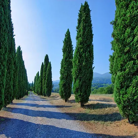 Holiday Home Casale Giulio By Posarellivillas Holiday home Cetona