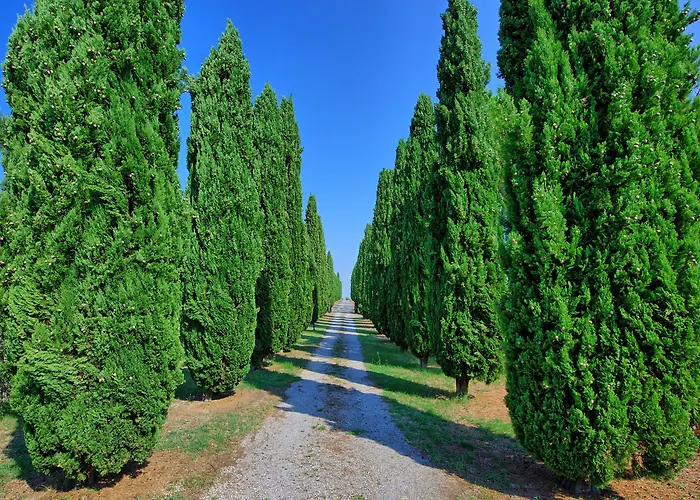 Σπίτι διακοπών Casale Giulio By Posarellivillas Cetona